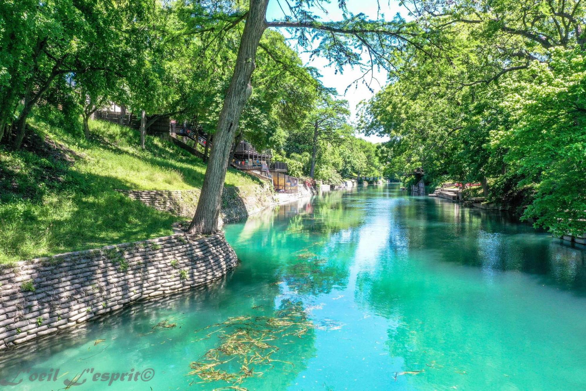 The Iron Cactus Condo On The Comal Cw C102 نيو بروانفيلز المظهر الخارجي الصورة
